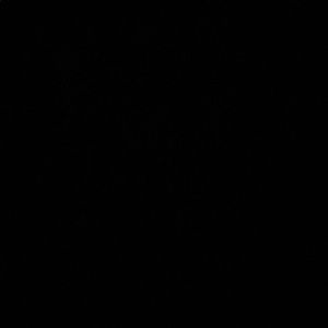 Meet your Posher, Malcolm